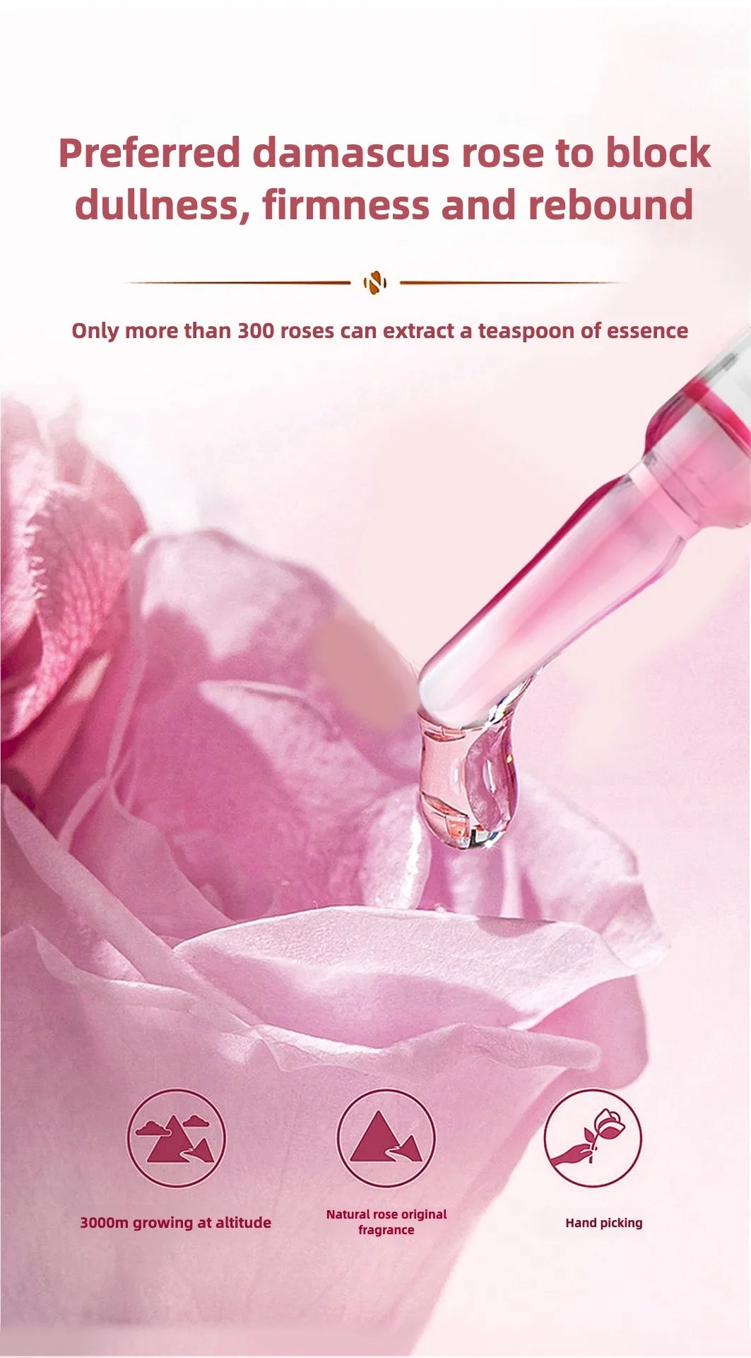 Rose Proxylane Serum Anti-Aging Moisturizing Shrink Pores Hydrating Whitening Essence For Microneedle Instruments Skin Care