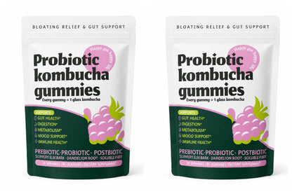 Probiotic Kombucha Gummies Every Gummy 1 Glass Kombucha Prebiotic Postbiotic Digestive Gut Health Vegan Berry Bliss 30 Gummies