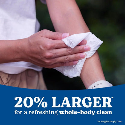 Extra Large Unscented Wipes, 42 Count Flip-Top Pack for Whole-Body Clean