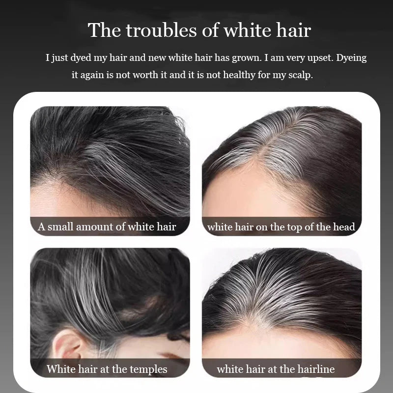 Disposable hair pen to cover gray hair, natural black hair temporary hair toner to replenish color and root without fading pure