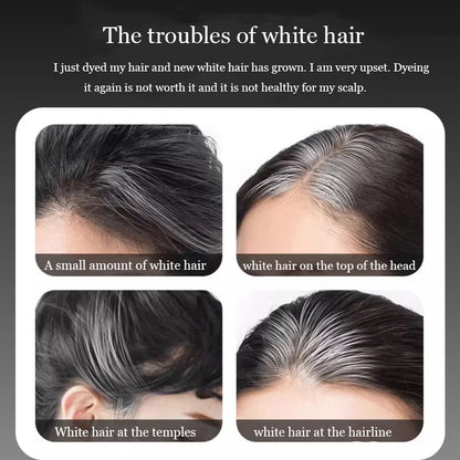 Disposable hair pen to cover gray hair, natural black hair temporary hair toner to replenish color and root without fading pure