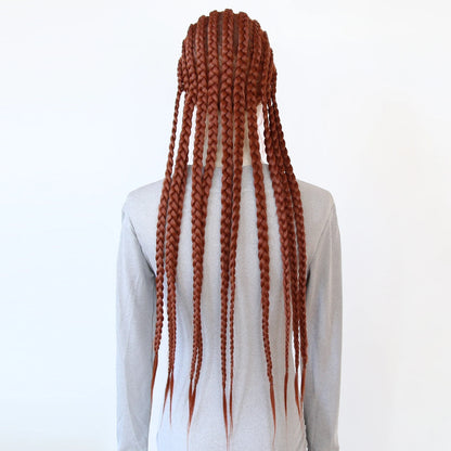Black Braided Wigs Synthetic Full Lace Wig Glueless Full Lace Synthetic Wig Heat Resistant Fiber Wig for Women Daily Wear