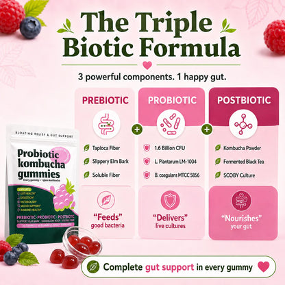 Probiotic Kombucha Gummies Every Gummy 1 Glass Kombucha Prebiotic Postbiotic Digestive Gut Health Vegan Berry Bliss 30 Gummies