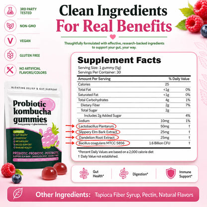 Probiotic Kombucha Gummies Berry 30 Ct Prebiotic Postbiotic Gut Health Digestion Bloating Relief Immune Vegan Non-GMO Supplement