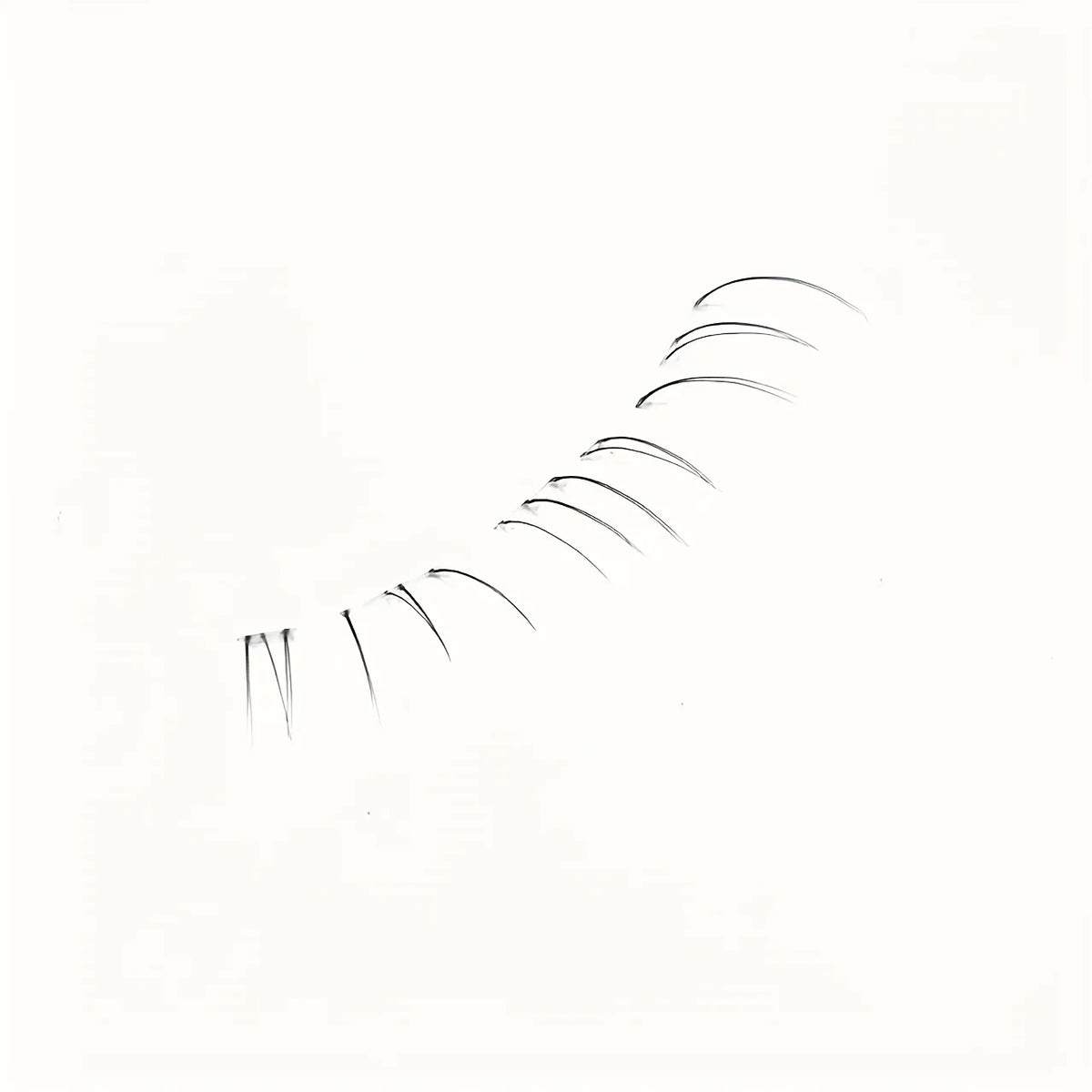 Duoduotian Cat Paw Lower Eyelashes Beginner Friendly 10-14mm Easy to Apply Quick Segmented Style