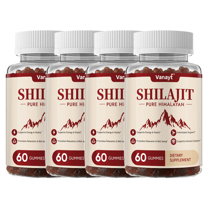 3000mg Shilajit Mineral Gummies Supports Natural Vitality Mental Wellness Balanced Mood For Daily Health 60 Count