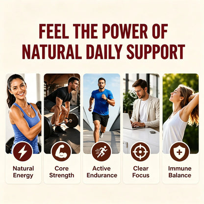 3000mg Shilajit Mineral Gummies Supports Natural Vitality Mental Wellness Balanced Mood For Daily Health 60 Count