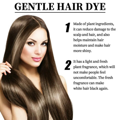 Fruit and Vegetable Hair Cream, Naturally Gentle, Long-Lasting, Does Not Damage Scalp or Hair, Easy to Color, Black Hair Cr