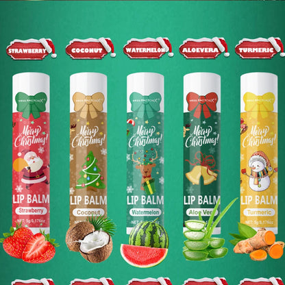 Christmas Lip Balm Set 10Pcs Multiple Flavors Moisturizing Nourishing Dry Lip Care Portable Holiday Gift Lip Balms