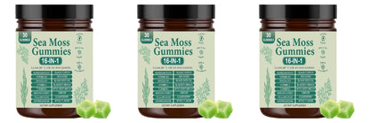 Irish Sea Moss Gummies 1500mg Equivalent 16 in 1 Botanical Blend,Support Digestion&Mood,Antioxidant Protection,Apple Flavor,30Ct