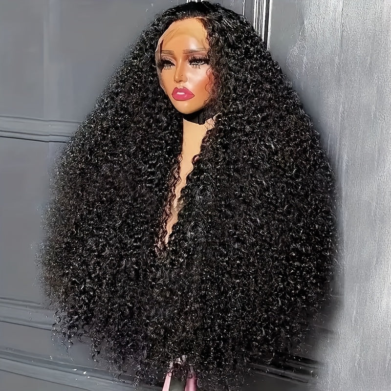 250% 13x6 HD Lace Front Wig Pre Plucked Pre Bleached Transparent Lace Frontal Wig with Baby Hair Deep Curly Wave Human Hair Wigs